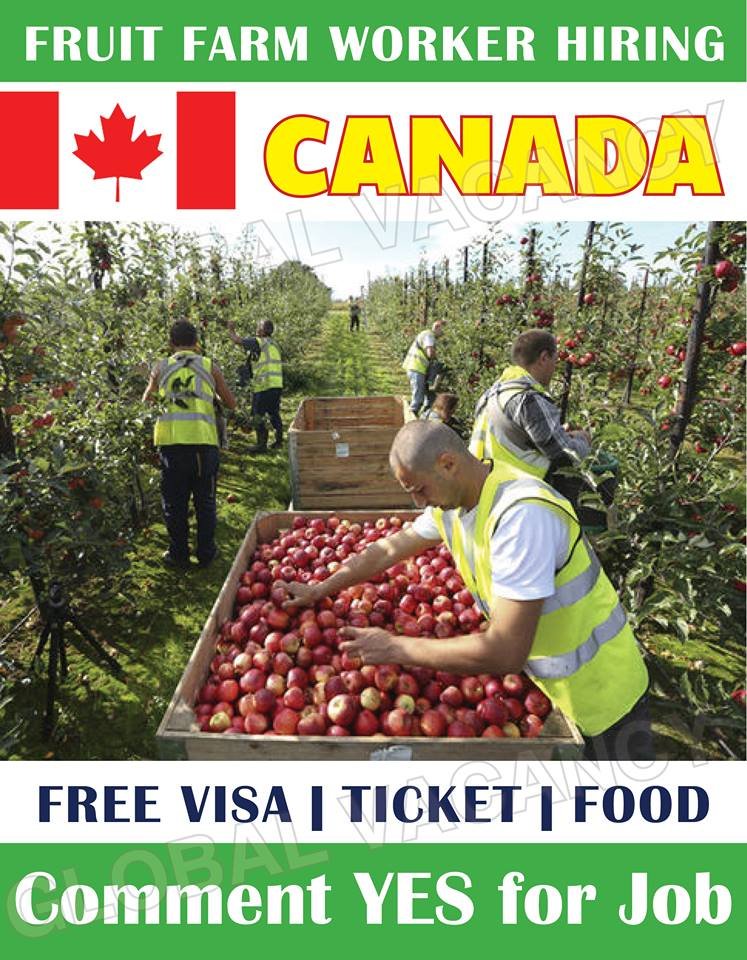 canada jobs 2024